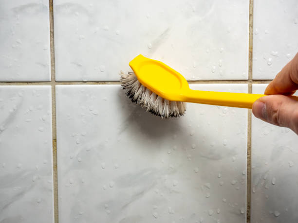 Best Mold Remediation Experts  in Senoia, GA